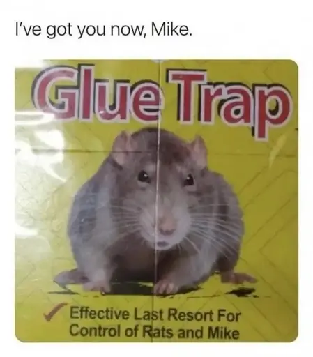 The packaging of a product: it says "Glue Trap", there's a picture of a rat, and it says "Effective Last Resort for Control of Rats and Mike". The meme is captioned "I've got you now, Mike.".