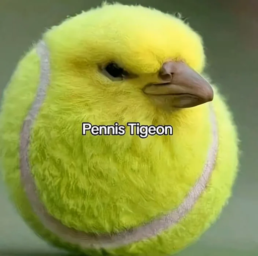 tennis ball with a pigeon head