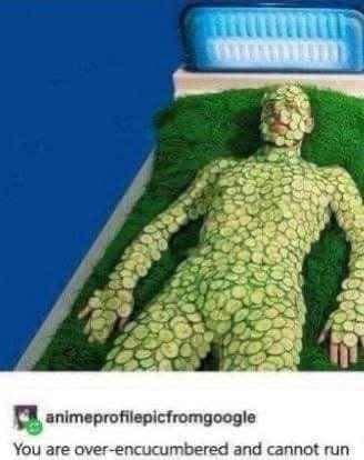 Image of a person covered head to toes in cucumber slices, presumably for therapy.

Tumblr user animeprofilepicfromgoogle says "you are over-encucumbered and cannot run"