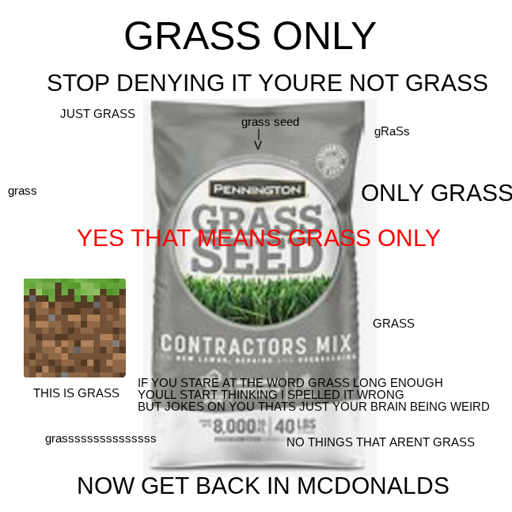 Bag of grass seed, Minecraft grass block