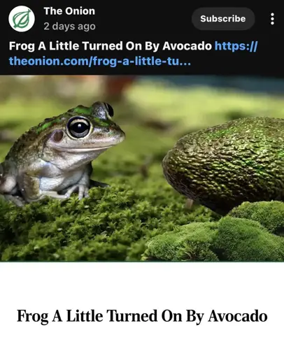 Frog A Little Turned on By Avocado