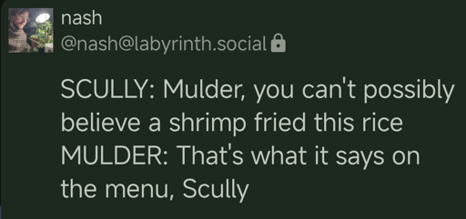 Screenshot of a Mastodon toot by user nash (nash at labyrinth dot social):

SCULLY: Mulder, you can't possibly believe a shrimp fried this rice

MULDER: That's what it says on the menu, Scully
