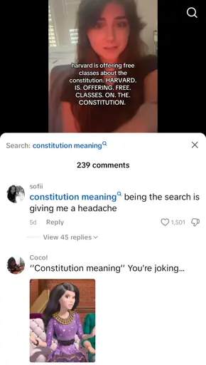 Users within the comments don't know what the constitution is.